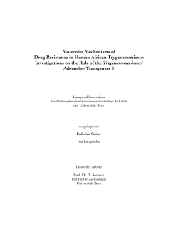 Molecular Mechanisms of Drug Resistance in Human African