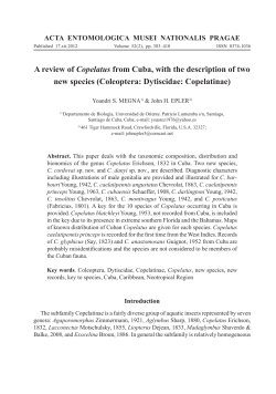 A review of Copelatus from Cuba, with the description of two new