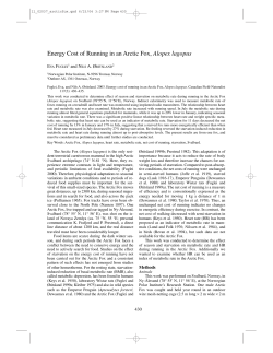 Energy Cost of Running in an Arctic Fox, Alopex lagopus