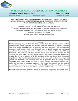 international journal of environment