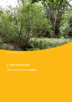 5. Wet woodland - Natural England publications