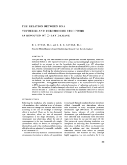 the relation between dna synthesis and chromosome structure as