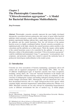 The Phototrophic Consortium &ldquo;Chlorochromatium aggregatum&rdquo; &ndash; A