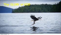 The GLORY of GOD