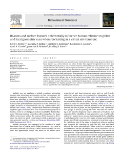Beacons and surface features differentially influence