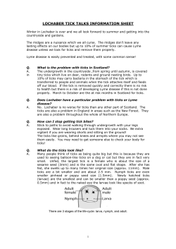 LOCHABER TICK TALKS INFORMATION SHEET