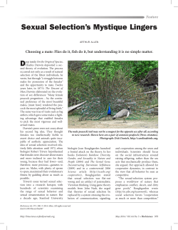 Sexual Selection`s Mystique Lingers