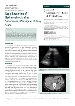 Rapid Resolution of Hydronephrosis after Spontaneous Passage of