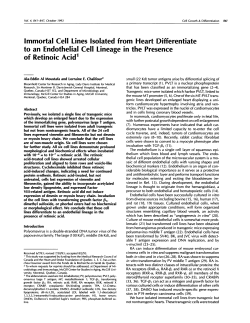 Immortal Cell Lines Isolated from Heart Differentiate to
