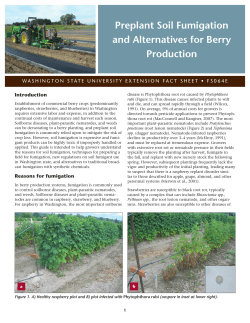Preplant Soil Fumigation and Alternatives for Berry Production, WSU