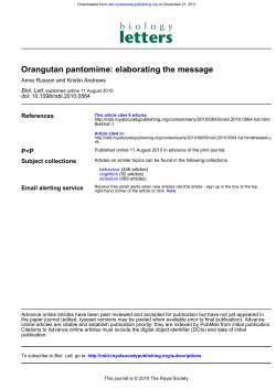 Orangutan pantomime: elaborating the message
