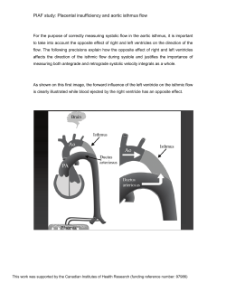 PIAF study: Placental insufficiency and aortic isthmus flow