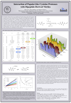Interaction of Papain-Like Cysteine Proteases with Dipeptide