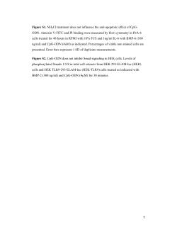 1 Figure S1. NH4Cl treatment does not influence the anti