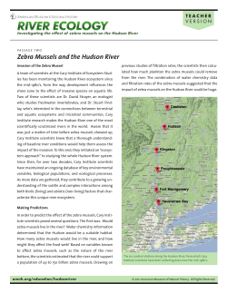 Zebra Mussels and the Hudson River