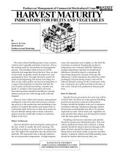 Harvest Maturity Indicators for Fruits and