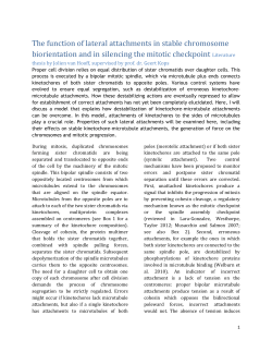 The function of lateral attachments in stable chromosome