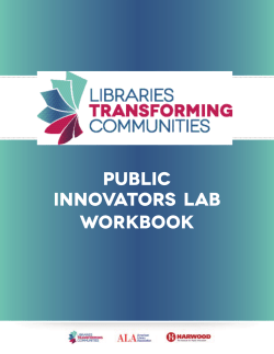 Public Innovators LAB WORKBOOK