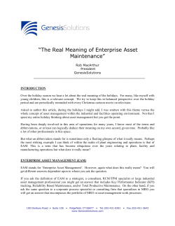 The Real Meaning of Enterprise Asset