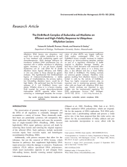 PDF - Northeastern University