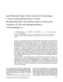 Lipid Molecular Shape Affects Erythrocyte