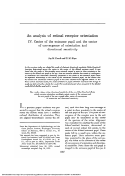 An Analysis of Retinal Receptor Orientation IV. Center of the