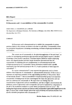 BBA Report - Deep Blue - University of Michigan