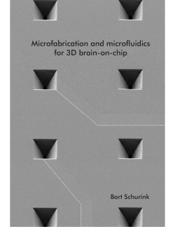 Microfabrication and microfluidics for 3D brain-on-chip