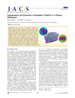 Organization and Dynamics of Receptor Proteins