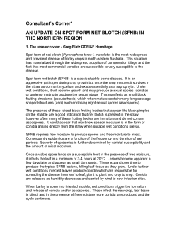 Spot Form Net Blotch Management July 2008