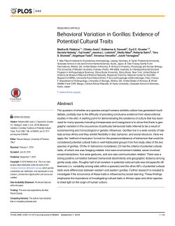 Behavioral Variation in Gorillas: Evidence of Potential Cultural Traits
