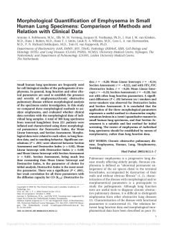 Morphological Quantification of Emphysema in Small Human Lung