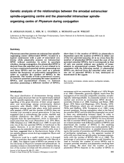 Genetic analysis of the relationships between the amoebal