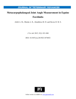 Metacarpophalangeal Joint Angle Measurement in Equine Forelimbs