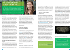 THE SHREWD MARKET TRADERS IN THE SOIL