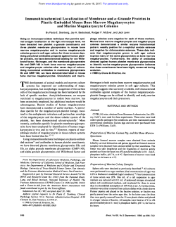 Immunohistochemical Localization of Membrane