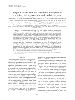 Changes in diatom patch-size distribution and degradation in a