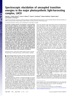 PDF - cchem.berkeley.edu - University of California, Berkeley