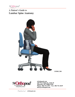 Lumbar Spine Anatomy