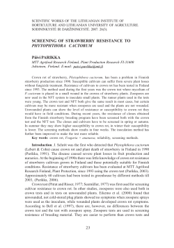 SCREENING OF STRAWBERRY RESISTANCE TO