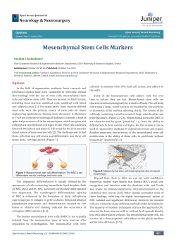 Mesenchymal Stem Cells Markers