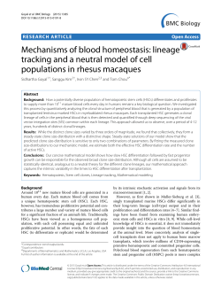 Mechanisms of blood homeostasis