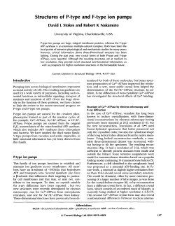 Structures of P-type and F