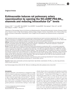 Echinacoside induces rat pulmonary artery vasorelaxation