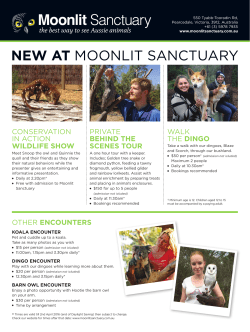 NEW AT Moonlit Sanctuary