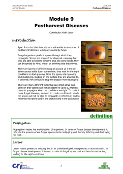 definition - Citrus Academy