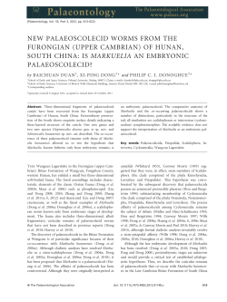 (upper Cambrian) of Hunan, South China: is Markuelia an