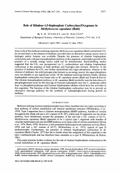 Role of Ribulose-l,5-bisphosphate Carboxylase