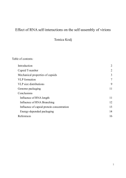 Effect of RNA self-interactions on the self