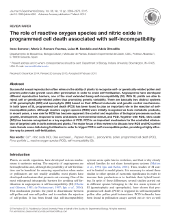 The role of reactive oxygen species and nitric
